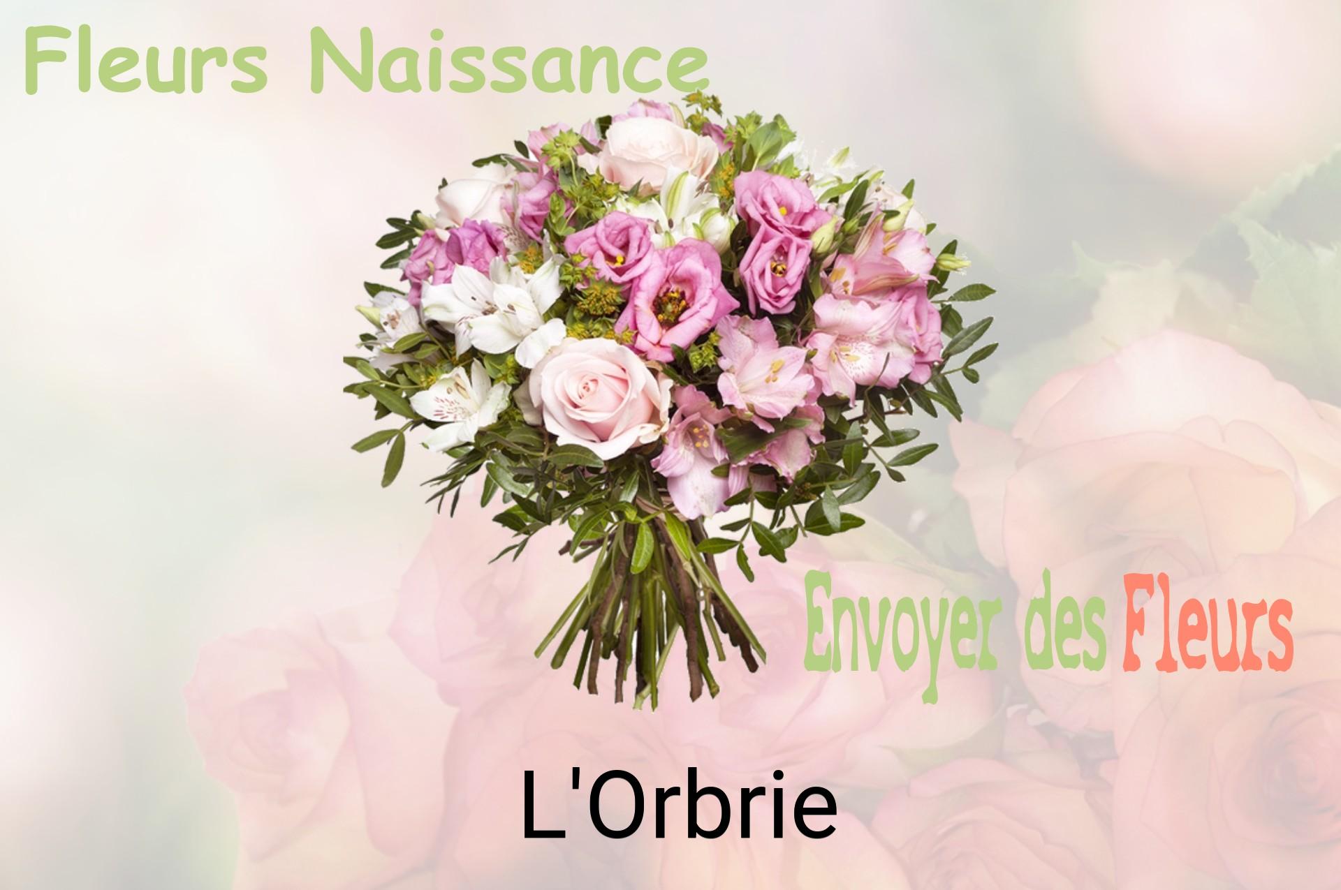 Bouquet de fleurs de naissance livré à L'Orbrie